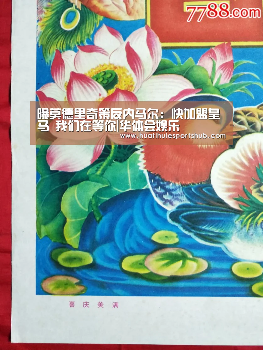 华体会娱乐